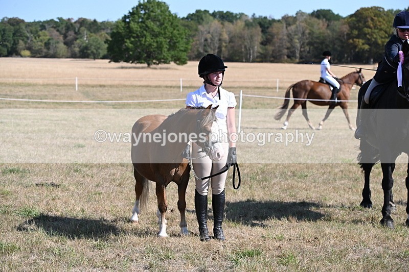 WJ6_7688 - Class 34 Judges Choice