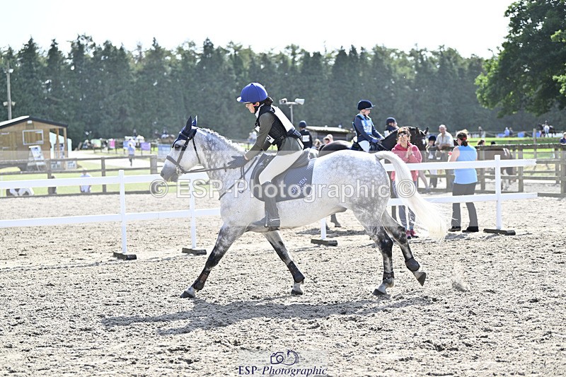 240823X-111345-15982 - 60cm R2 11.00 to 12.30