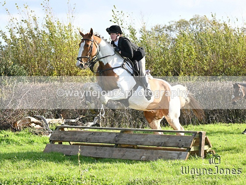 WJ6_2311 - Edited examples