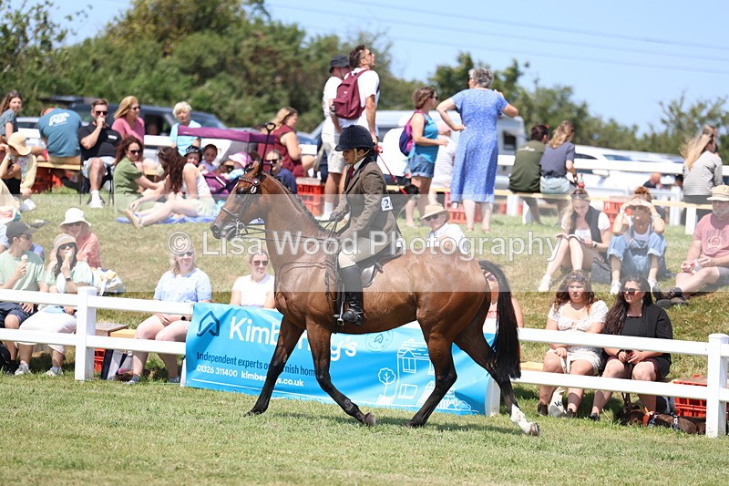 3E7A9414 - Class 12: Open Racehorse to Show Horse