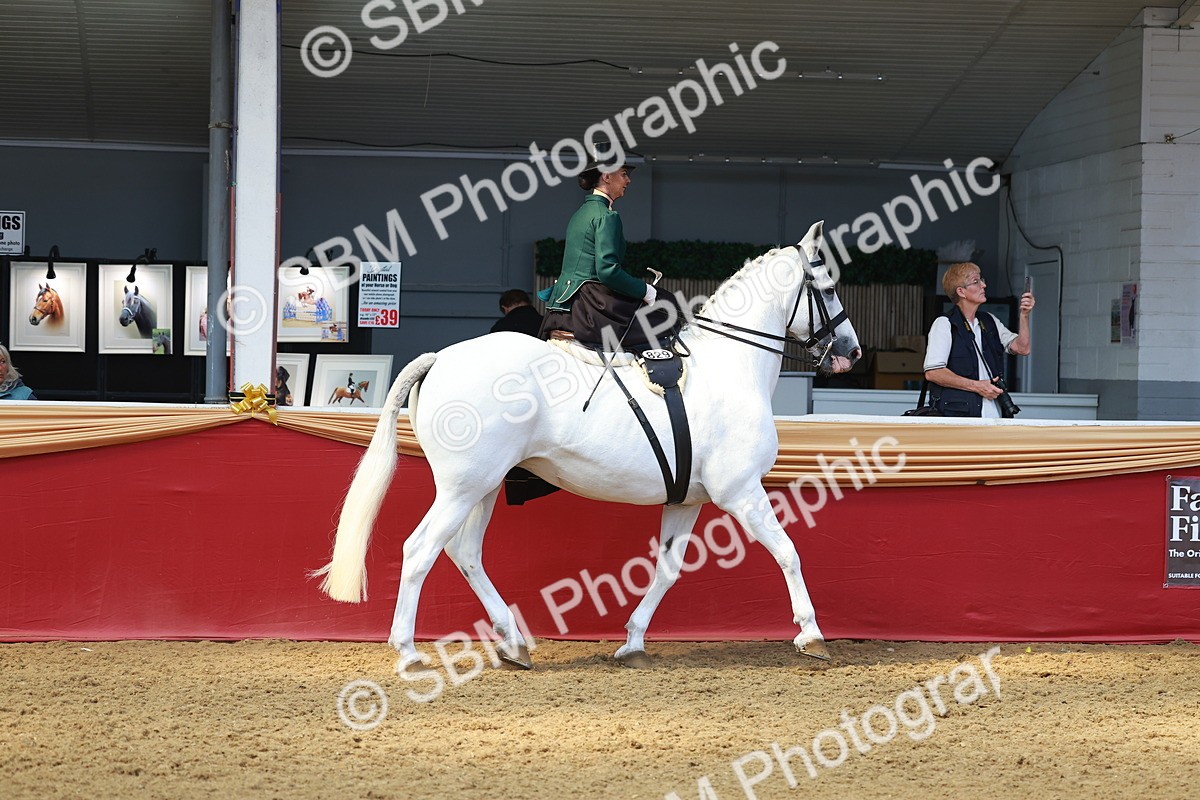 SBM_13866 - Class 106 - Ridden Costume - Side Saddle