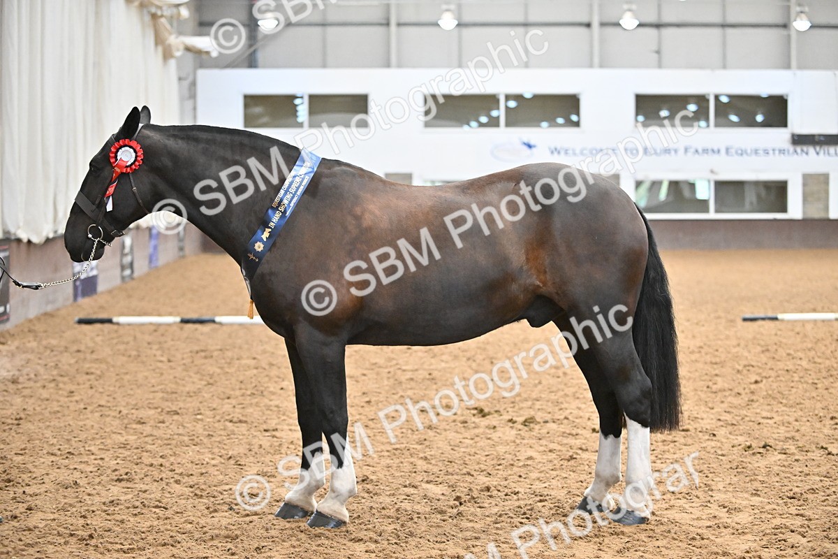 SBM_000790 - Class 16 - In Hand Showing Supreme Championships