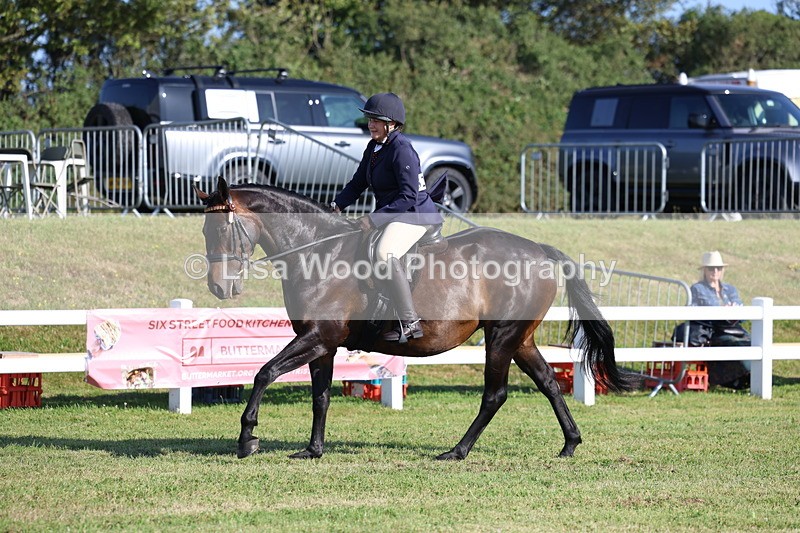 3E7A5383 - Class 2: Rising Star Large Hack/Riding Horse