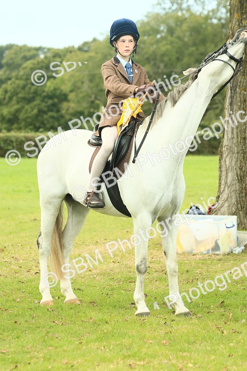 SBM_70048 - S59 - Mountain & Moorland Ridden Small Breeds
