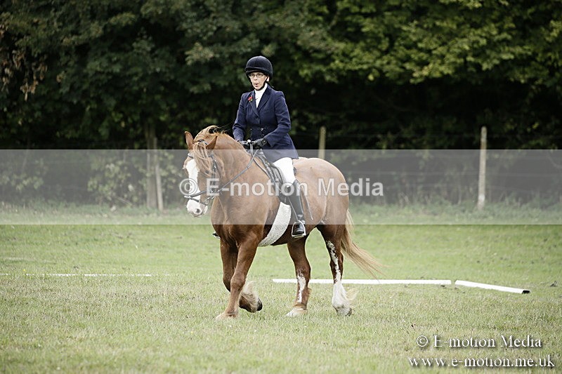 BVR080918 52 - BVRC Novice Dressage & CR 08/09/18