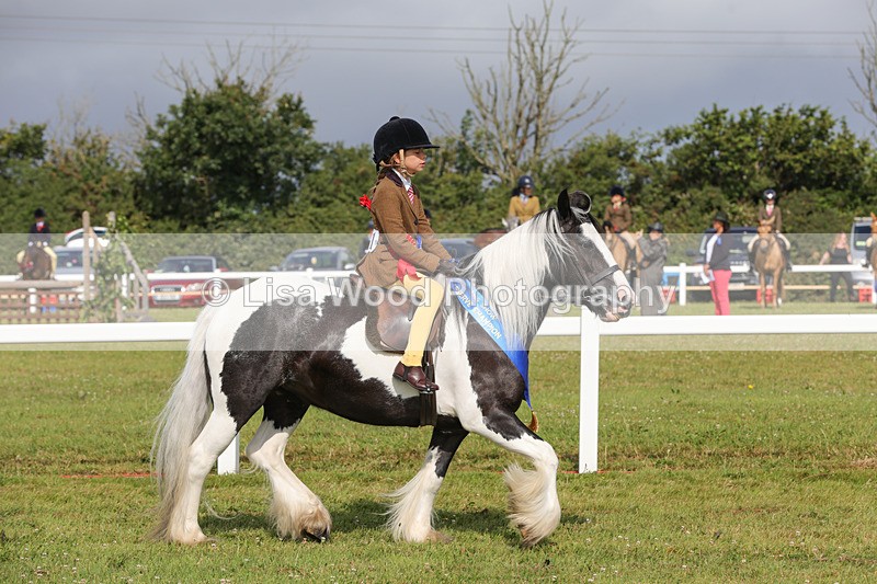 1X9A3532 - Skewbald and Piebald Ridden Championship