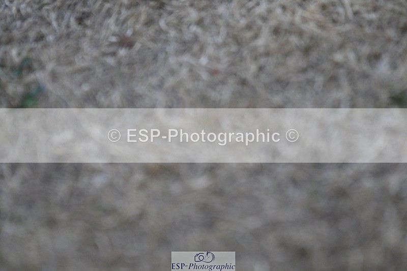 250823A-190537-34710 - All Sat Presentations