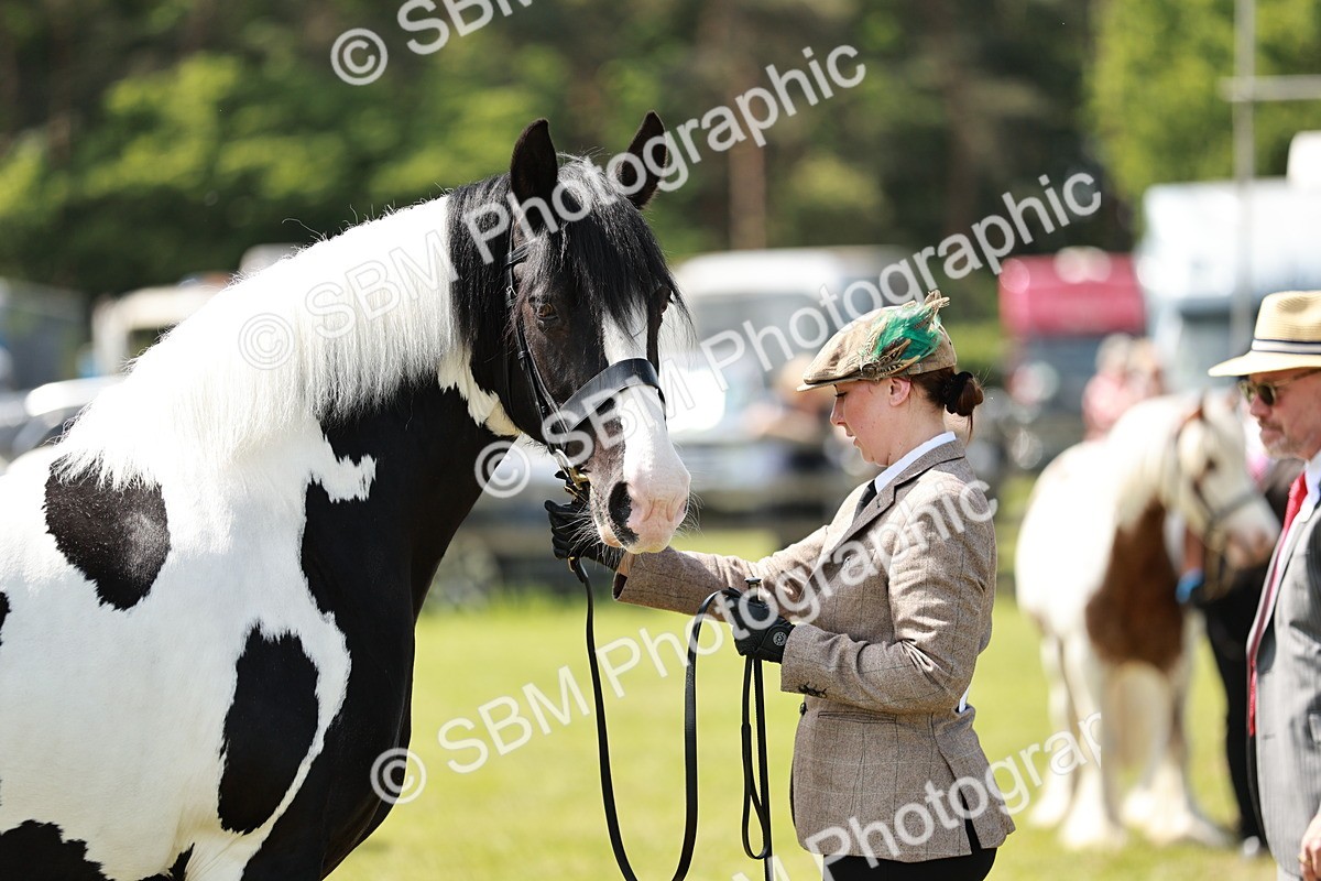 SBM_04229 - Class 39-40 - BSPA Coloured In Hand