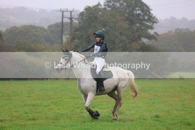 3E7A0930 - Class 1: 65cm: Rails