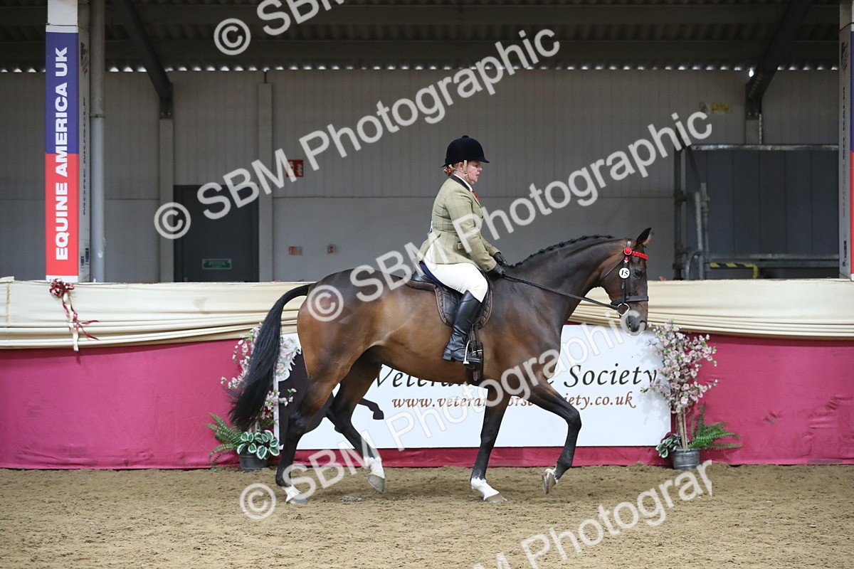SBM_12305 - Class 108 Ridden Retired Racehorse- Pre Judging