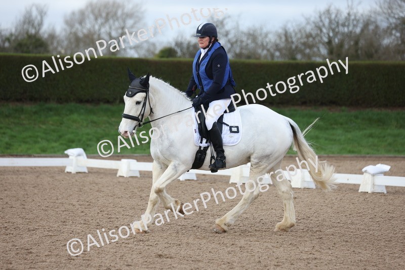 20260301-0172 - Class 3 - Novice 4