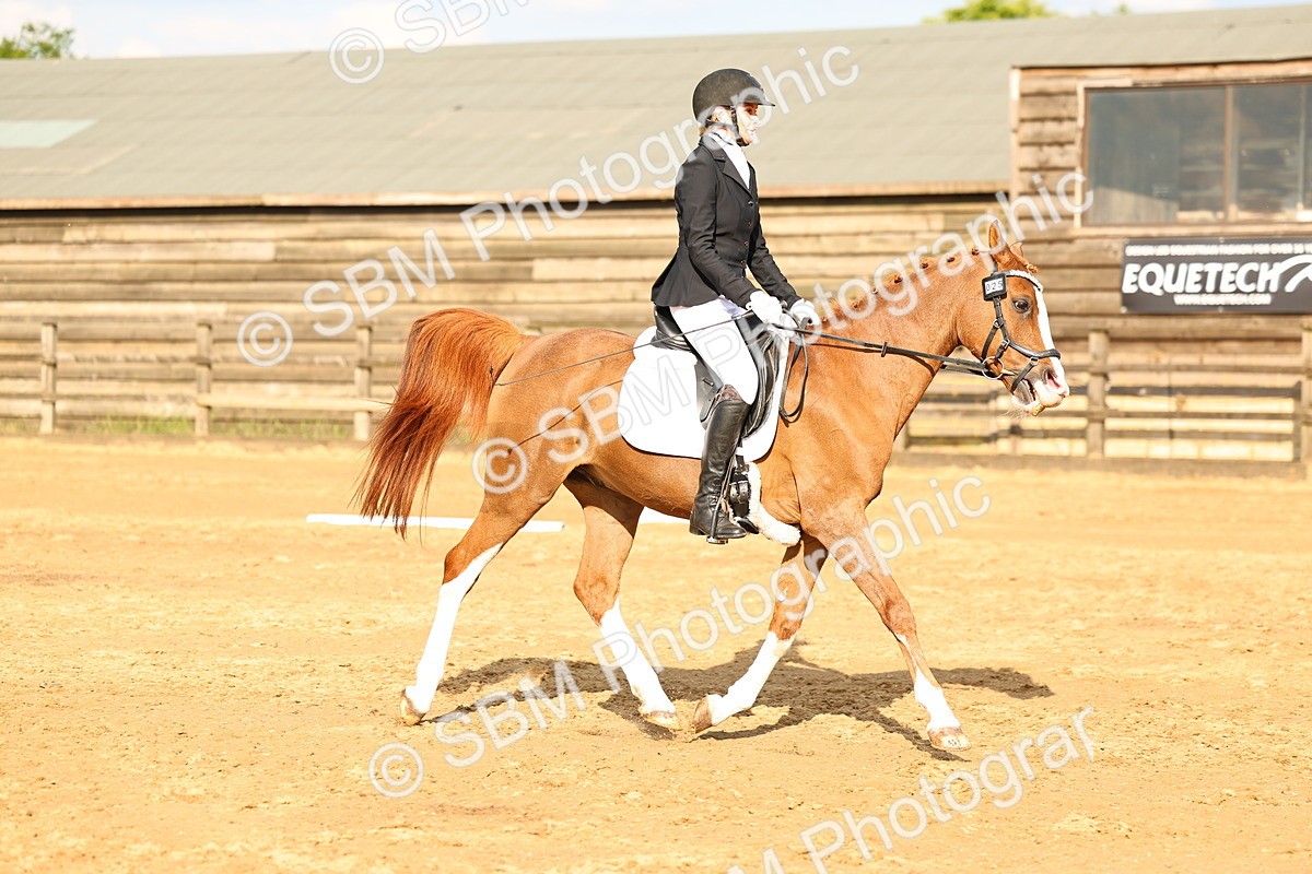 026A4351 - Class 3 - Prelim 2