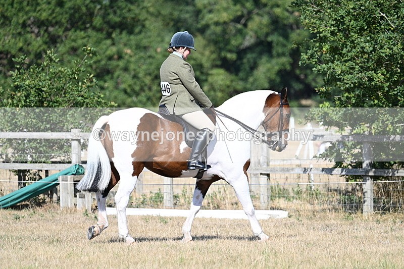 WJ7_3106 - Class 8 Ridden Tack & Turnout