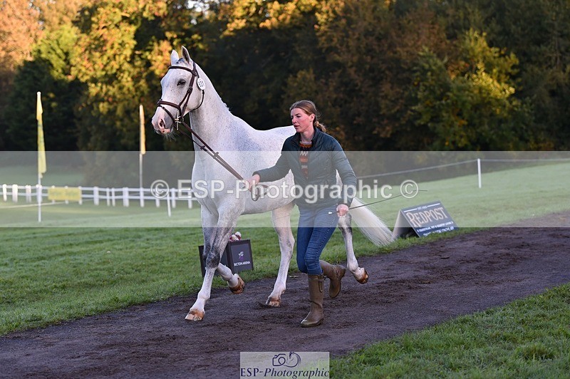 231022-084658-21355 - 631-BRIGHT.RINCO-Maisie.Morgan-TrotUp+SJ