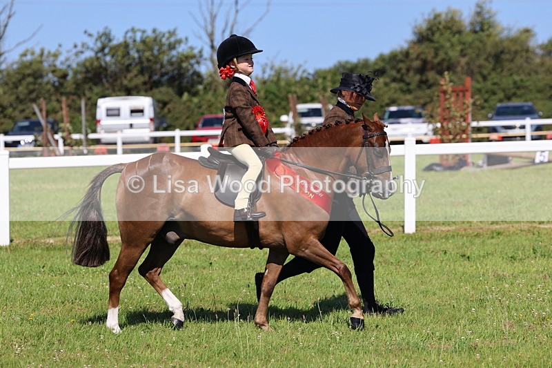 IMG_1869 - Plaited Mini Ridden Championship