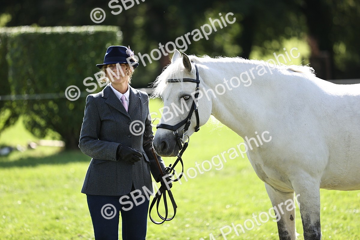 SBM_26214 - S5 - Novice & Newcomers In Hand