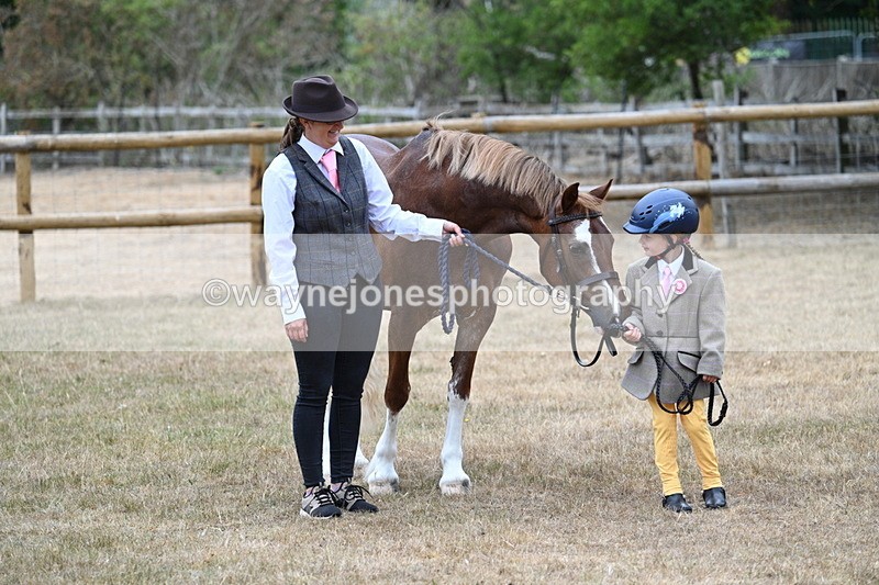 WJ7_8096 - Class 4 Prettiest Mare up to 14.2hh