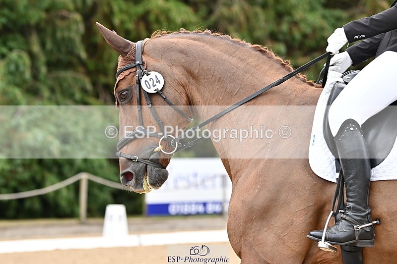 250808A-102701-00323 - 024-Daisy.Hedges-Felicia.V