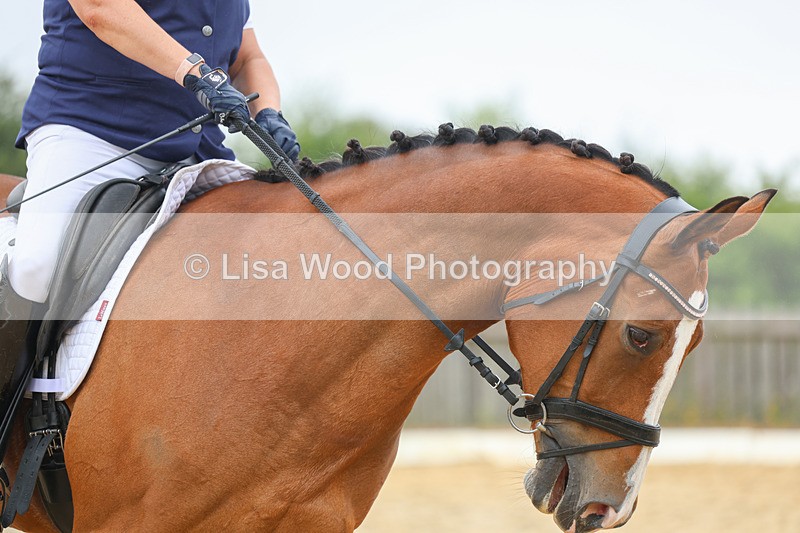 3E7A9672 - Class 5: Novice 3 2024 Section A