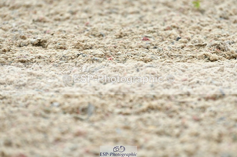 230708A-114709-02627 - Prelim 13