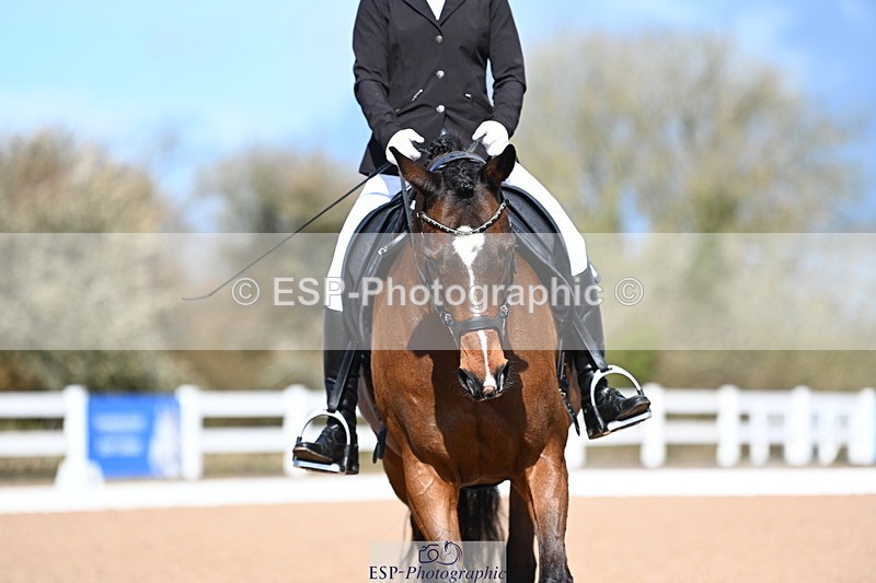 240323A-112112-02599 - DR Novice 24