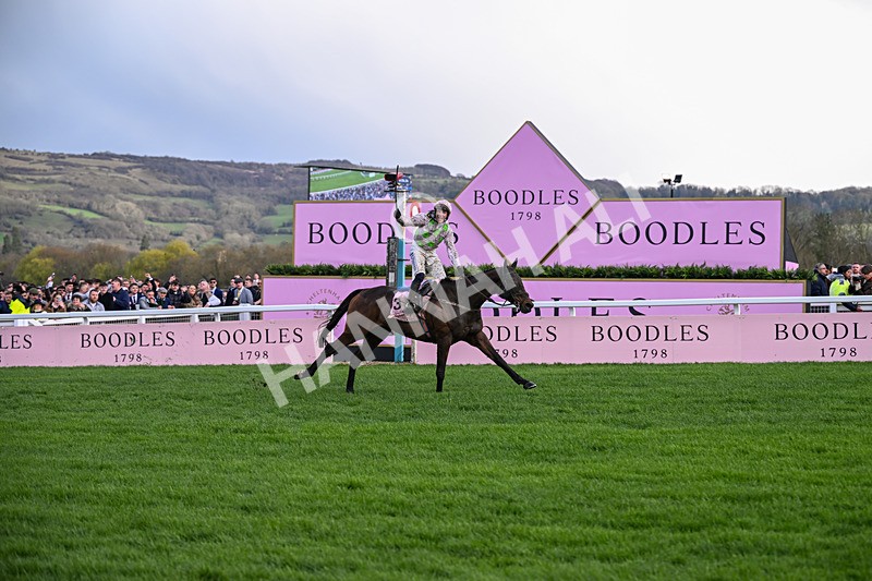 130326-Race 5-Gaelic Warrior-2630 - 13th March