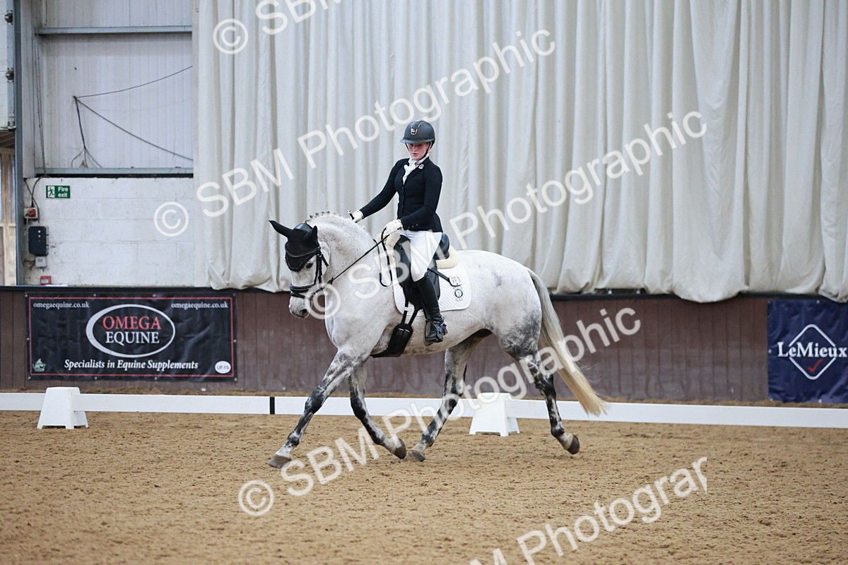 SBM_004526 - Ring 3 - International -  Working Hunter Classes 23-2-25