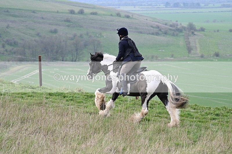 WJ7_8224 - Line 2 A camera