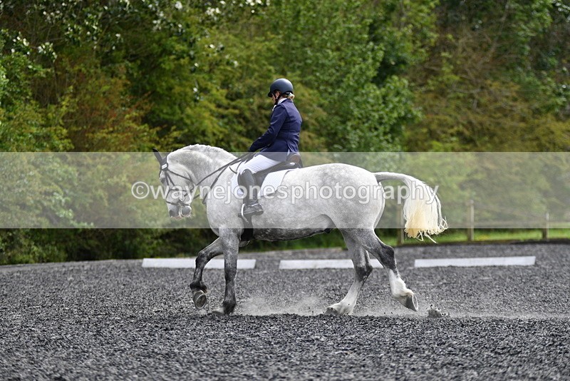 WJ5_1947 - Time 15:05 to 15:30