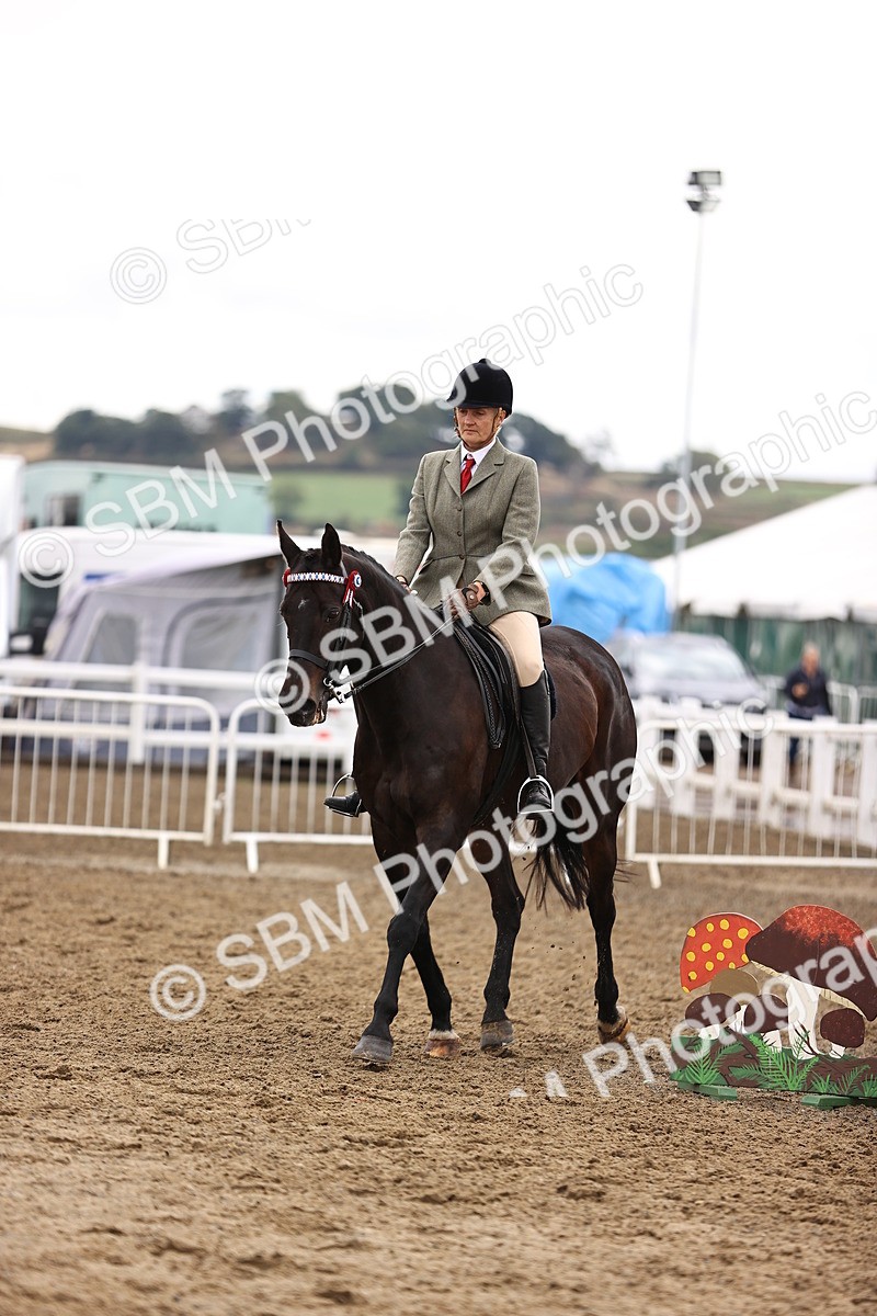 SBM_00631 - Class 53 - Ridden Competition Horse Pony