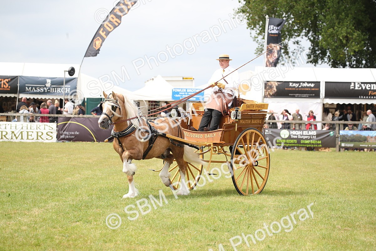 SBM_06987 - Class 16 - Light Trade