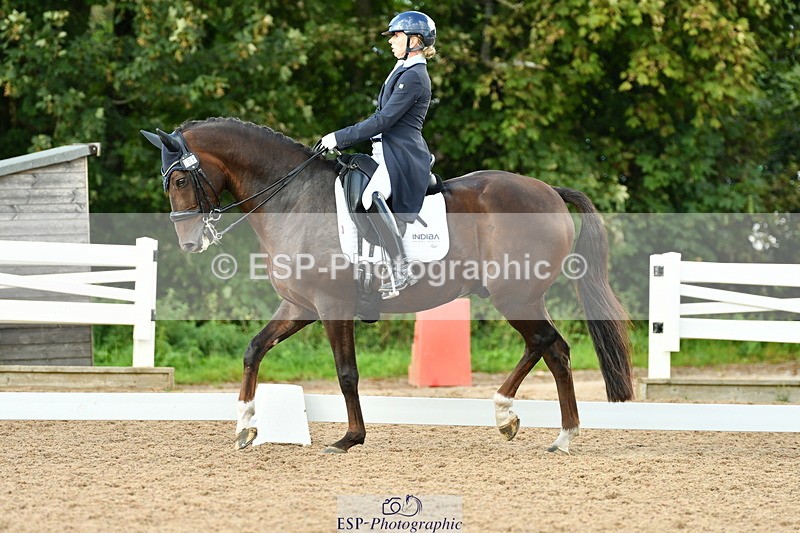 230912A-171305-01954 - Cls 23 FEI Grand Prix