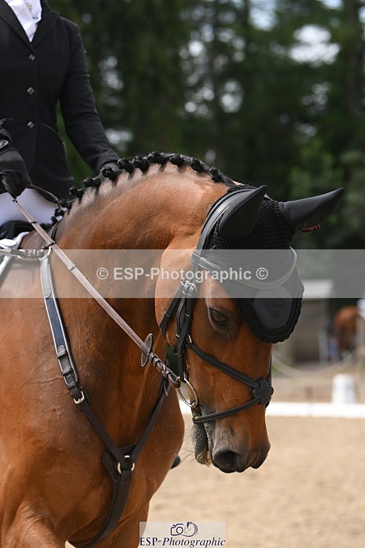 250719A-113757-04452 - 179-Mia.Marshall-Apollo.IV