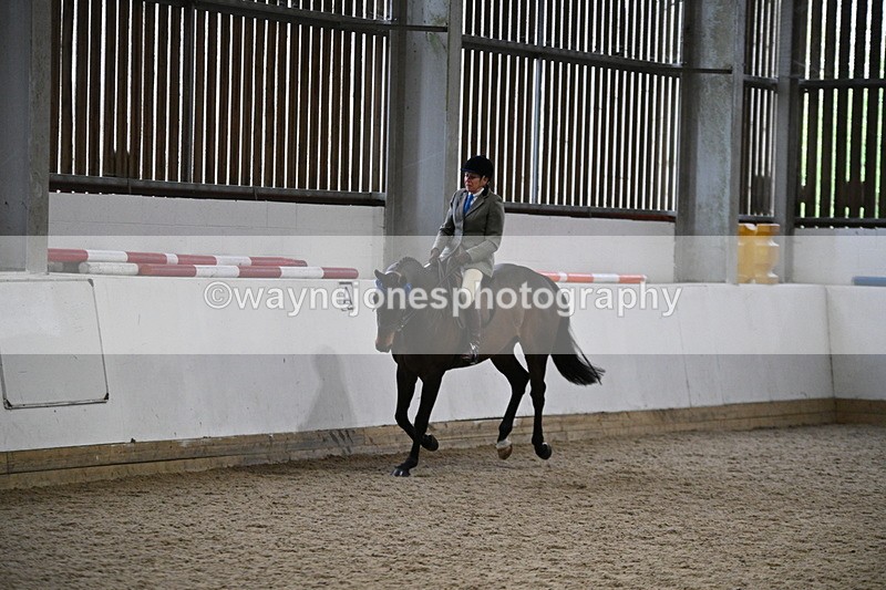 WJ7_4275 - Class 17 Ridden Cob