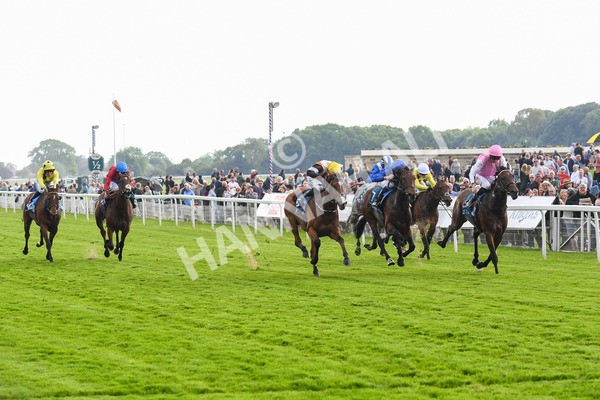 190523-Race 2-Sounds Of Heaven-0333 - Race 2 2.25pm Oaks Farm Stables Fillies' Stakes