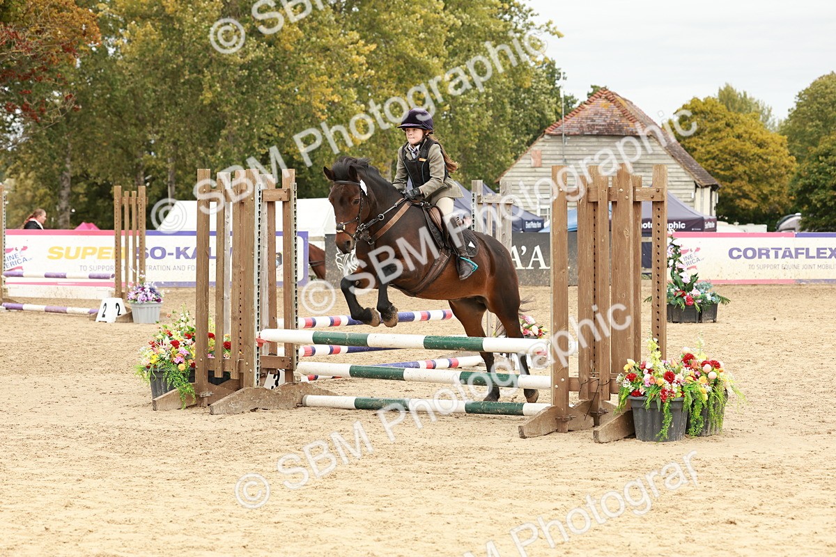 SBM_66882 - J13 - Junior Pony 60cm Championship