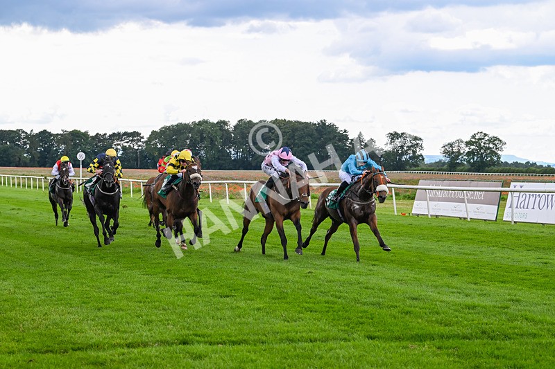 170724-Race 3-Ingleby Archie-9947 - Race 3