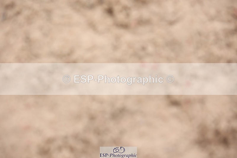 241117X-135746-04925 - Cls 35s A&B Winter-Summer