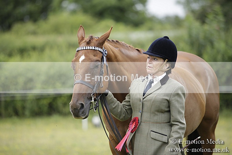 BVR160717-1118 - In Hand Championship 16/07/17