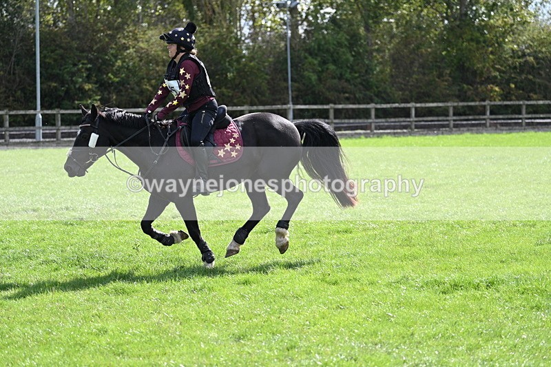 WJ7_0671 - Time 13:30 to 13:54