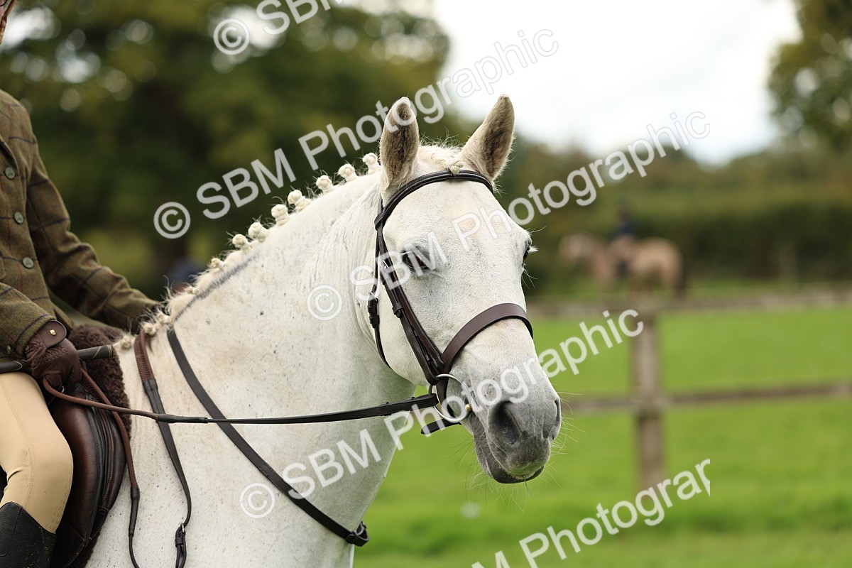 SBM_45353 - S33 - Working Hunter Pony