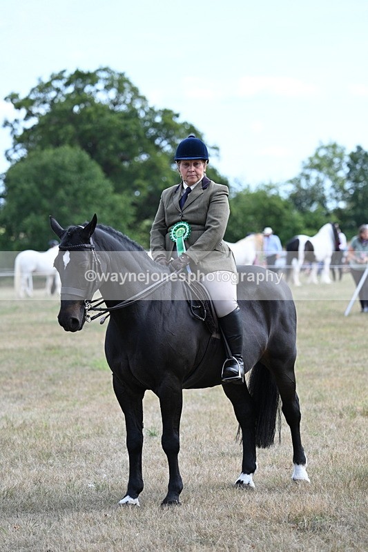 WJ7_6365 - Class 13 Ridden Veterans