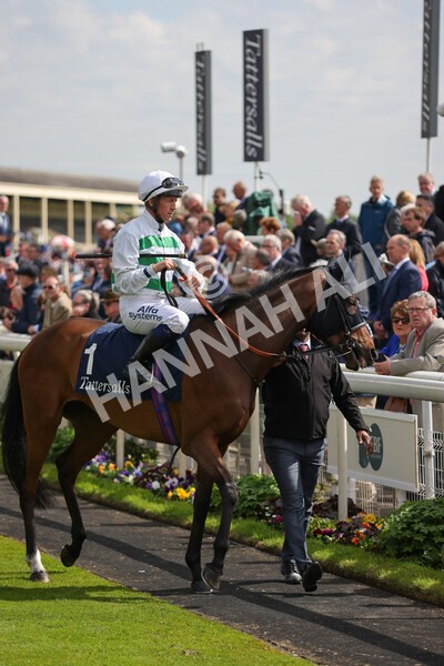 yr11052022r4-11 - Race 4 3.35pm Tattersalls Musidora Stakes