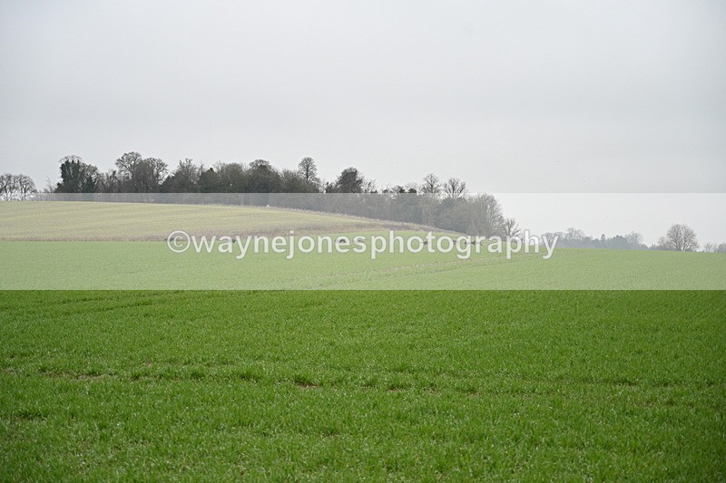 WJ7_9726 - Walk out..