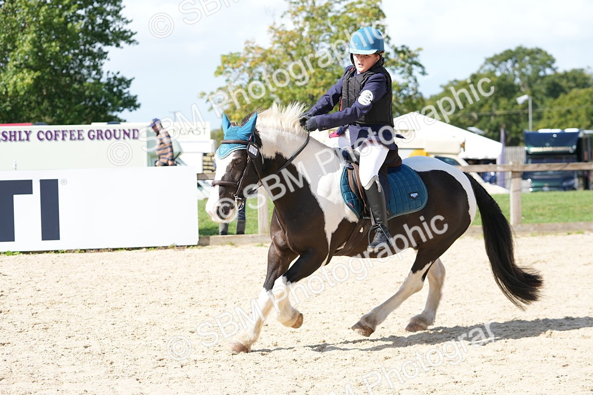 SBM_18206 - J58 - Clear Round 50cm