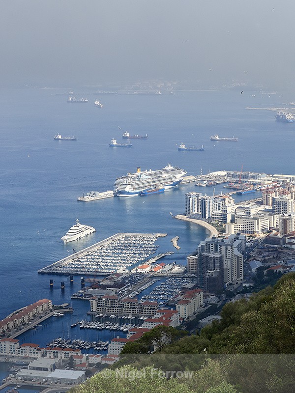 Marina & Port Area of Gibraltar from the Rock - Gibraltar