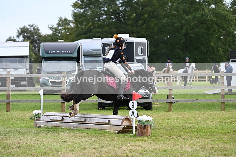 WJ7_8049 - 40cm Time 10:49 to 11:18