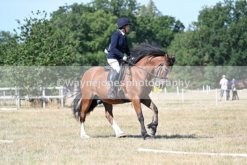 WJ7_0793 - Time 12:03 to 12:23