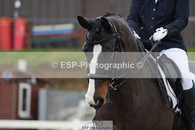 260213-150657-02170 - 033-Samantha.Willson