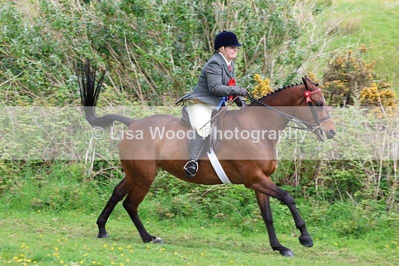 3E7A2306 - Ridden Championship